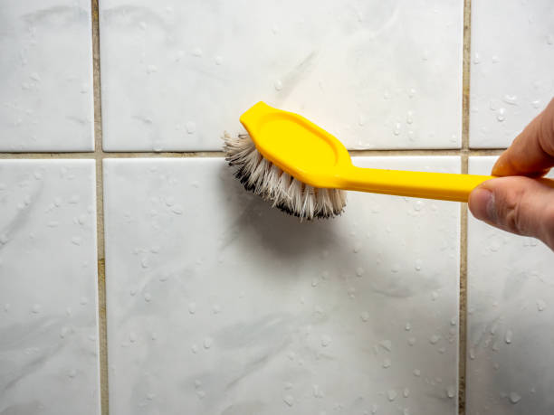Best Mold Remediation  in Camas, WA
