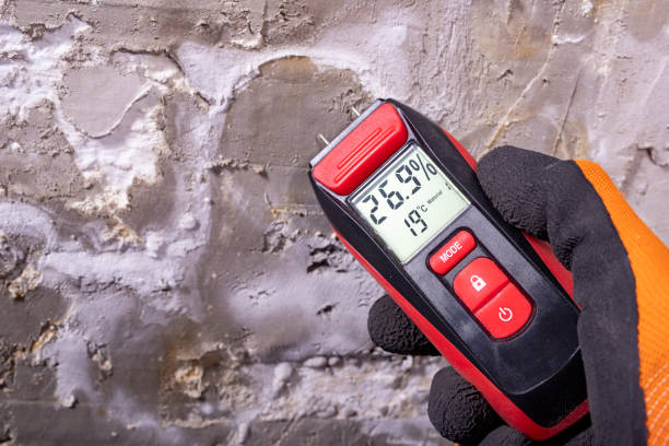 Mold Removal and Inspection in Camas, WA