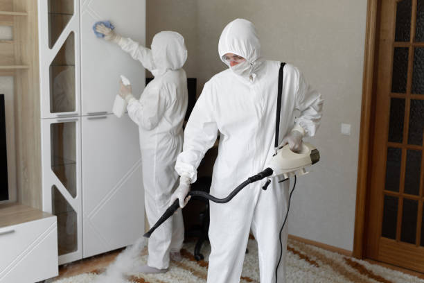 Best Attic Mold Removal  in Camas, WA