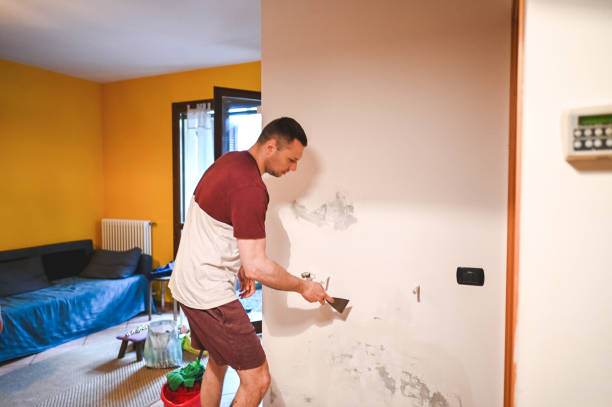 Trusted Camas, WA Mold Removal Experts