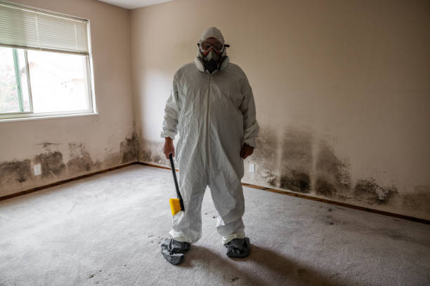 Best Mold Cleaning Services  in Camas, WA